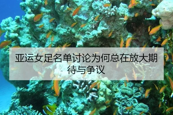 亚运女足名单讨论为何总在放大期待与争议